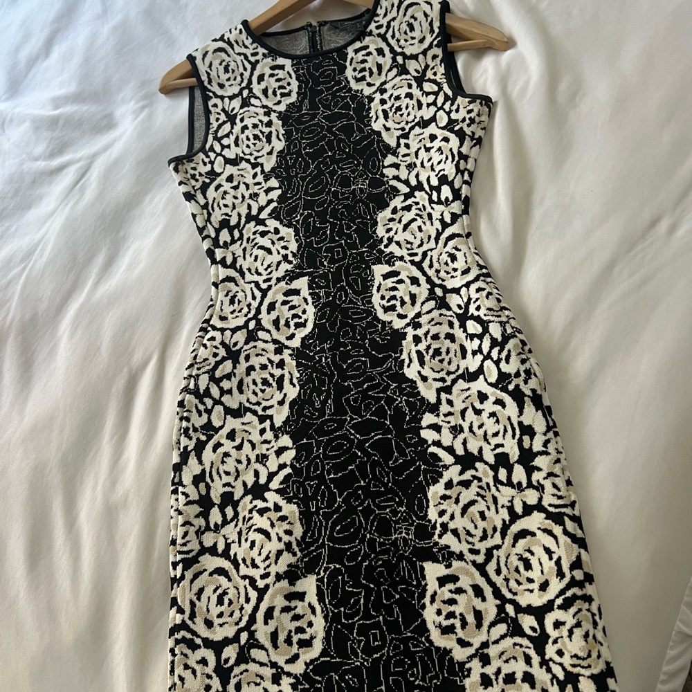 BCBG body contour cocktail dress